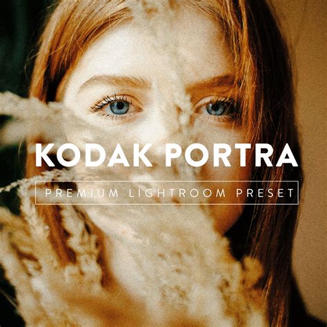 Supported films: Kodak T-Max 100. . Kodak portra 400 lightroom preset download